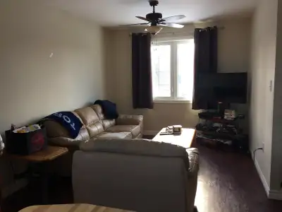 Student Room for rent near Brock Uni.