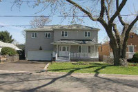 All included 2 bedrooms  basement apt  with Separate Entrance