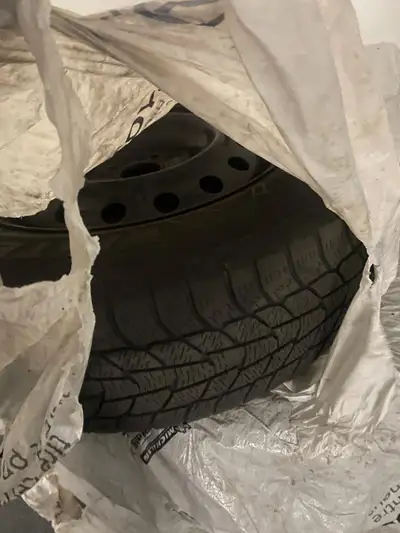 message me ..First come first serve - loc hurontario and eglinton mississauga. used only one season