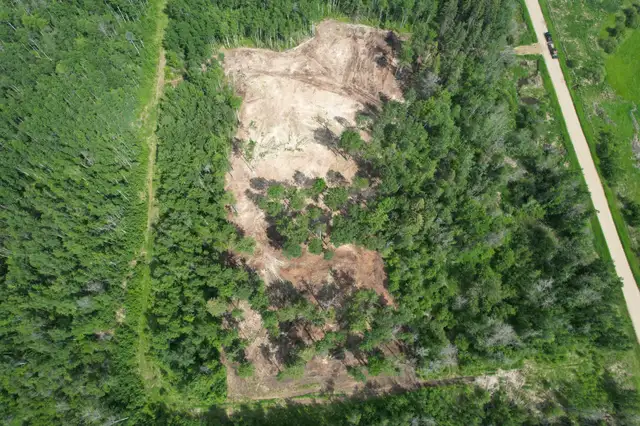 Mulching & Land Clearing62864743044611123