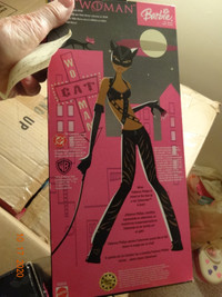 CATWOMAN ,Halle Berry,Barbie, 2004, #B5838, nrfb fabulous
