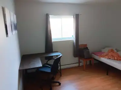 chambre à louer