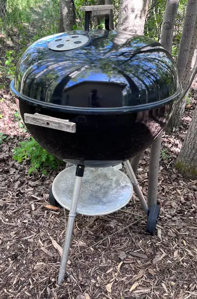 Weber Charcoal Grill, View more