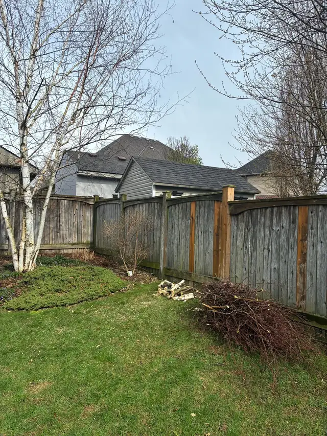     Tree Cutting & Removal & Fallen Tree & Branch Remo432920587236157445