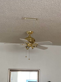 Hampton Bay Ceiling Fan 