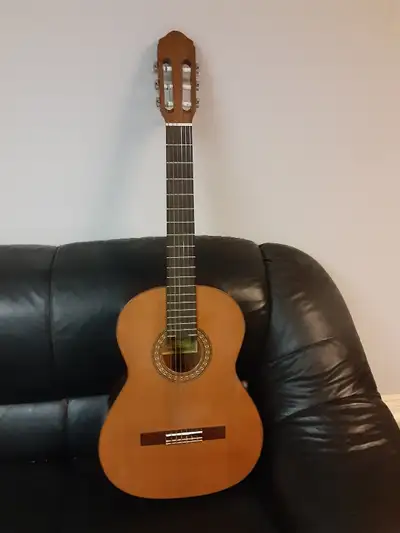 Classic Guitar and Guitar Case, View more