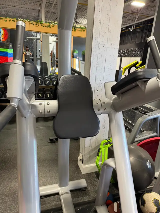Commercial Leg raise station | Exercise Equipment | Mississauga / Peel ...