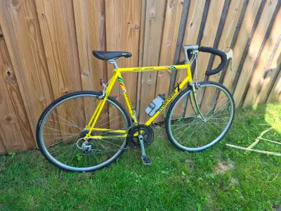 Tuned Concorde road bicycle with large 23.5" frame, View more