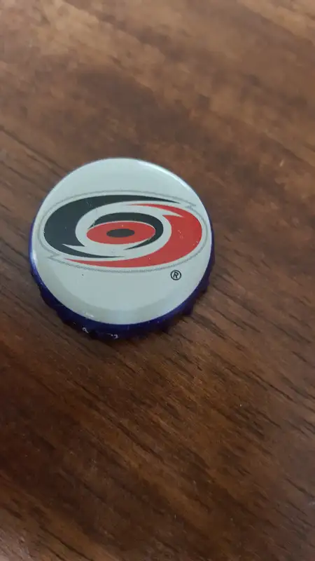 Carolina Hurricanes Logo Bottle With Logo Cap63848996624899121