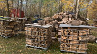 Firewood Oak Ash Maple picked up 160 cage 