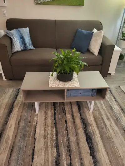 Lit peu utilisé, divan 72" x 36"