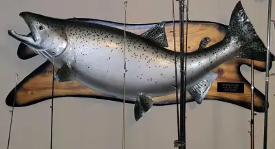 28.6 lbs Chinook Salmon that was caught in 1996 in Owen Sound bay. This is a real mount that was don...