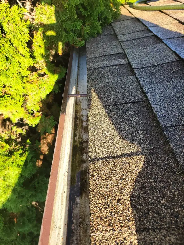 Eavetrough Cleaning420216519839590402