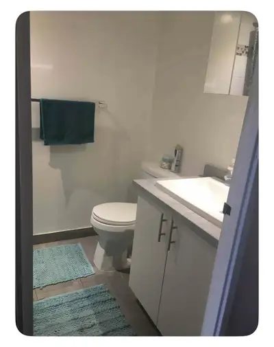 Cozy Furnished Studio in Nun’s Island, View more