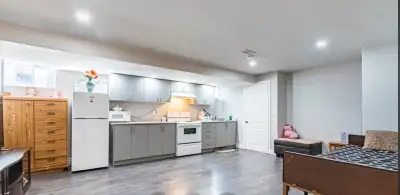 1 Bedroom basement fully furnished for 1 st july