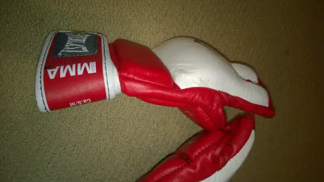 Everlast MMA Amateur Fight Gloves in Exercise Equipment in Mississauga / Peel Region - Image 6