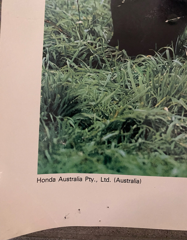 1984 Honda QR-50 Australian Poster 17 in x 16 in dans Art et objets de collection  à North Bay - Image 4