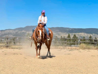 OFFERING Horsemanship lessons in Pritchard and surrounding area!