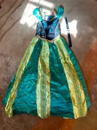 Princess Anna Coronation Costume (Girls size L)