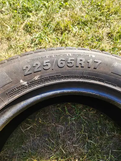 This Lion Sport 225/65R17 tire provides reliable traction and performance, featuring a size of 225/6...
