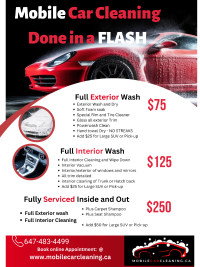 Mobile car cleaning - We come to you