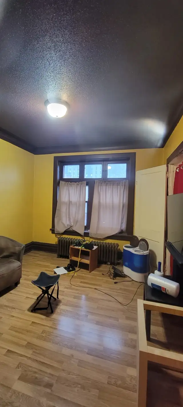 RED SEAL MASTER PAINTER506741385698355202
