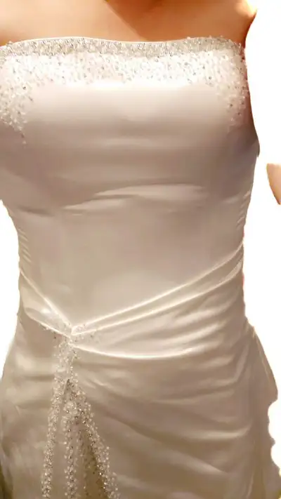 Beautiful Demetrios dress, View more