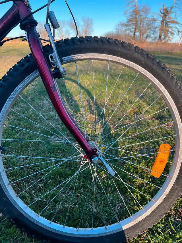 2 Raleigh bikes in Other in Charlottetown - Image 3