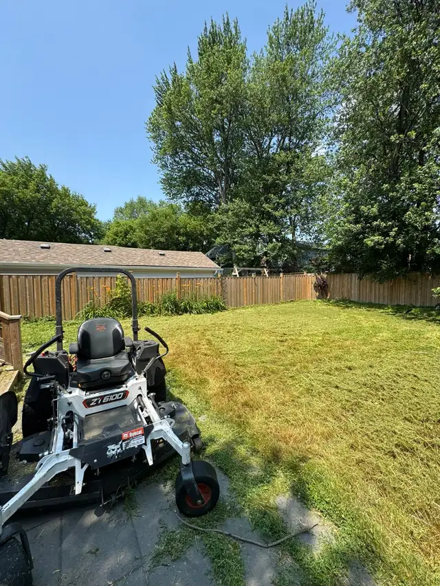 Professional Grass Cutting Service – Only $60 in Lawn, Tree Maintenance & Eavestrough in City of Toronto - Image 7