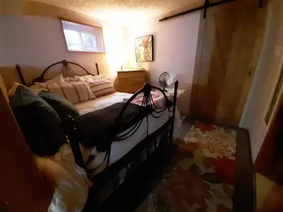Recherche chambreur( idéalement vieux garçon) pour occupation sous sol maison unifamiliale situé ds...