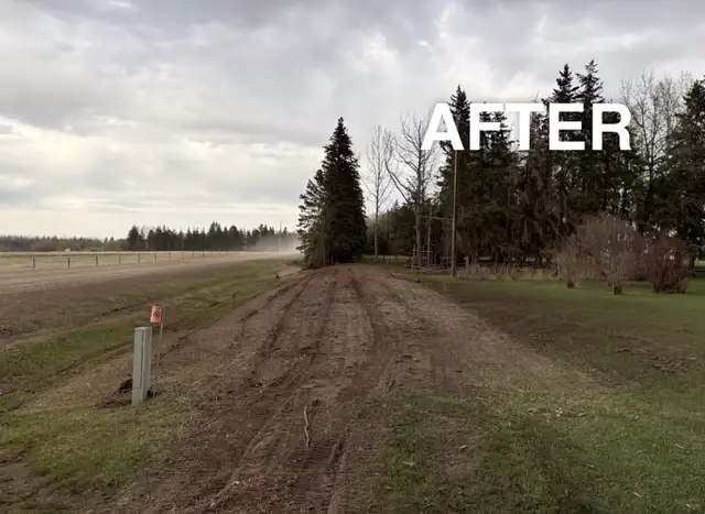 Mulching. Stump removal. Skid Steer services.572866413955000321