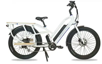 Canadian Voltbike Cargo eBike with only 22 cycles on the battery (rated at 1000 cycles) Excellent co...
