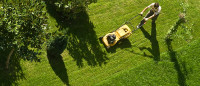 IN SEARCH OF GRASS CUTTING SERVICES, great for teen!