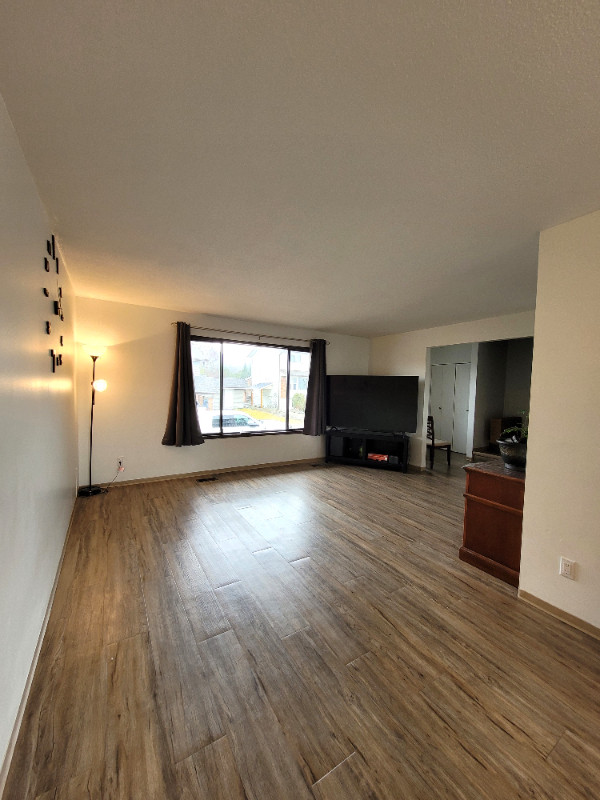 3 bedroom 1 full bath and 2 half bath duplex Long Term Rentals