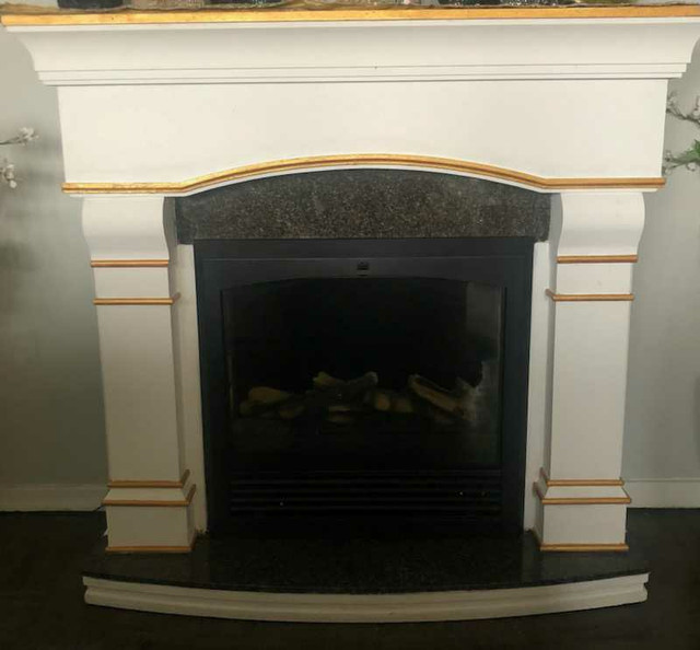 Electric Fireplace  in Fireplace & Firewood in City of Toronto