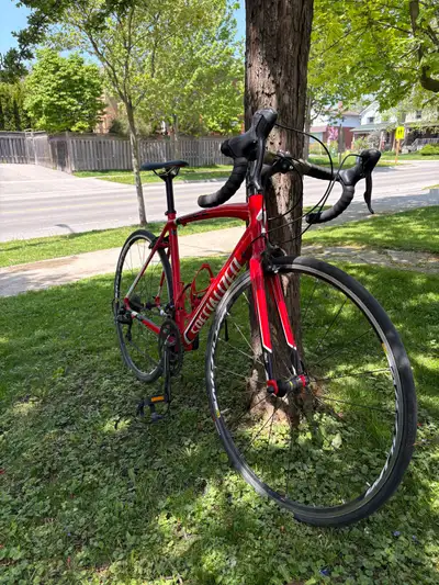 Specialized Allez Sport w/carbon fork/mavic wheels, View more