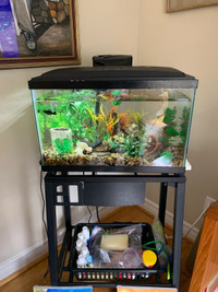 10 gal aquarium with stand