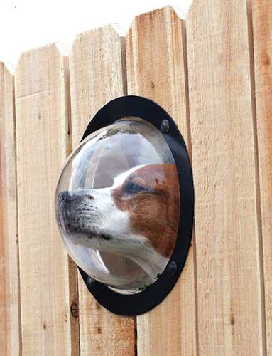 PetPeek SC1PP Fence Window for Pets in Other in Burnaby/New Westminster