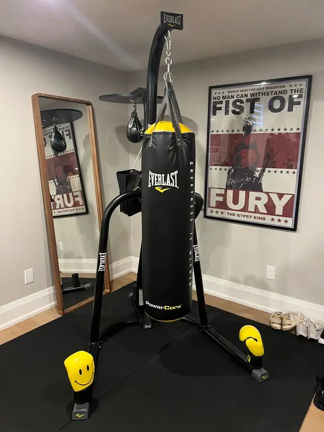 Everlast Boxing Bag