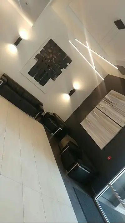 Roommate for Furnished Downtown Condo