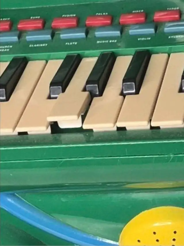 Alligator Animal Keyboard in Toys in Windsor Region - Image 3