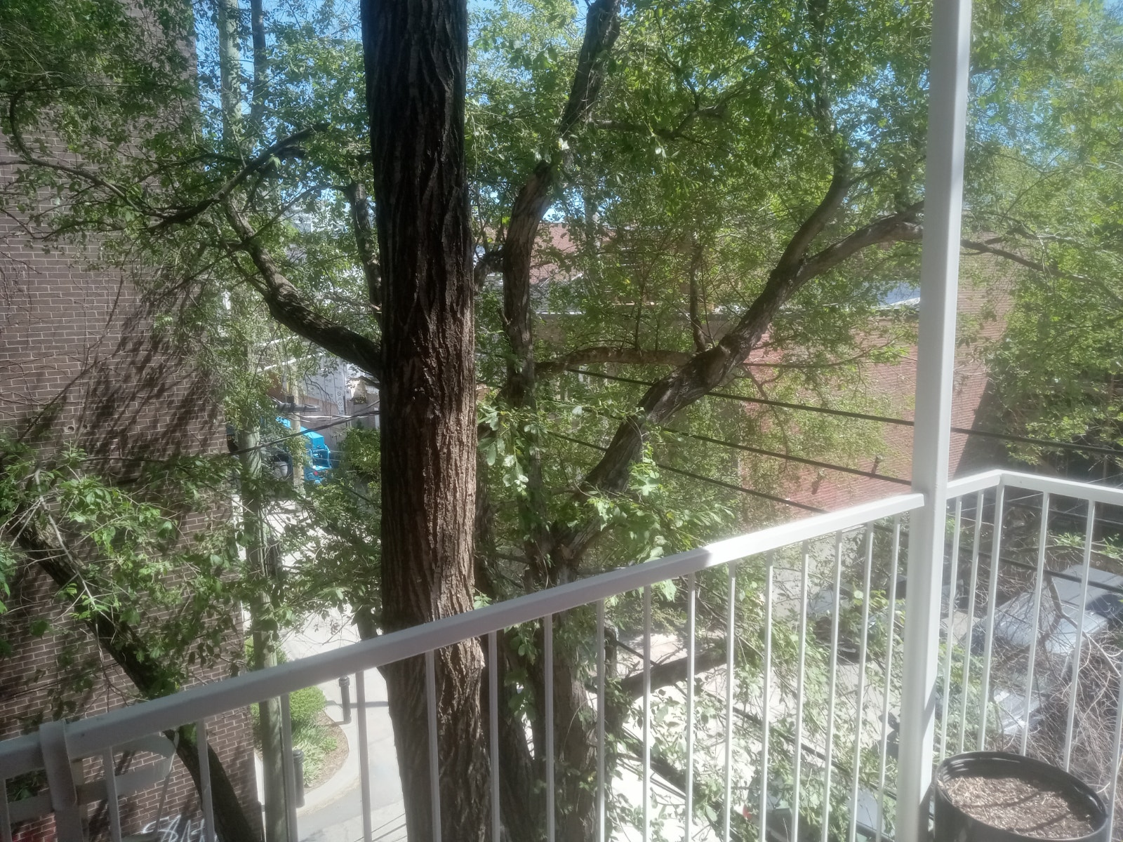 Renovated bright 4.5 apt, metro Sherbrooke,September — photo 1