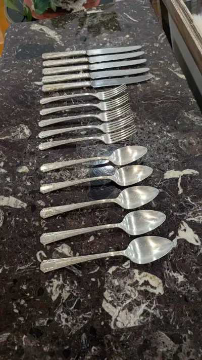 Silver Plated Cutlery Set of 5, View more