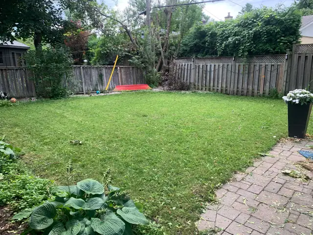 Fall Raking & Cleanup (Grade 11 Student)561546755446548486
