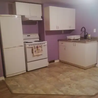 Clean and Bright Basement Suite near NAIT - available JULY 1