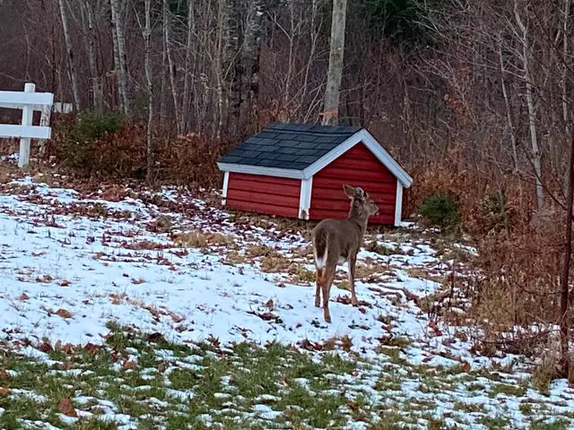 Le Petit Chalet Rouge - Enjoy amazing sun rises and sunsets in Quebec in Canada - Image 15