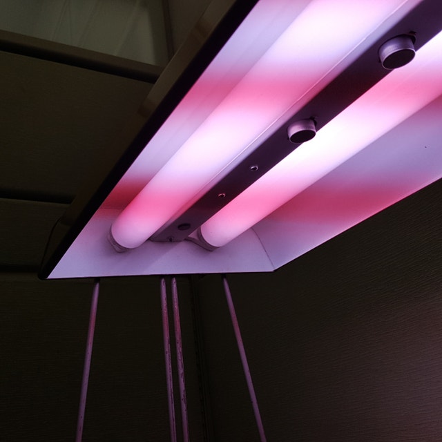 CEB Limited Vintage Fluorescent Light Fixture For Plants K4790 Other