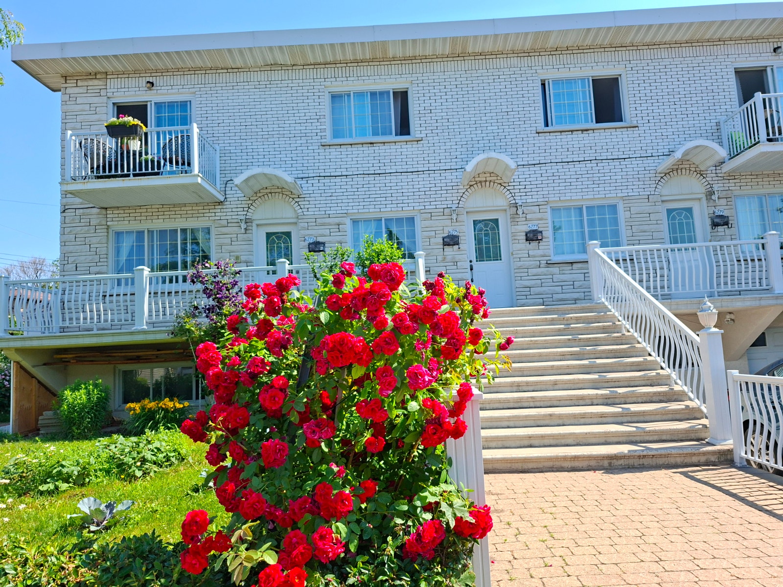 Beau grand 4 1/2 lumineux Saint-Léonard — photo 1