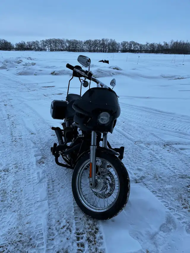 2020 Harley Davidson FXST in Street, Cruisers & Choppers in Saskatoon - Image 4