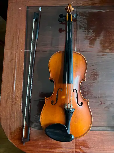 “20 inch used Violin